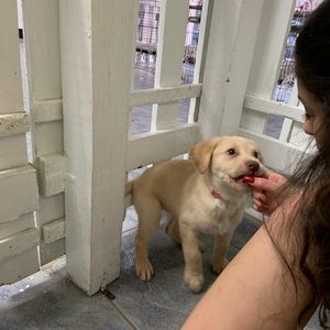 Meet your Posher, Marco